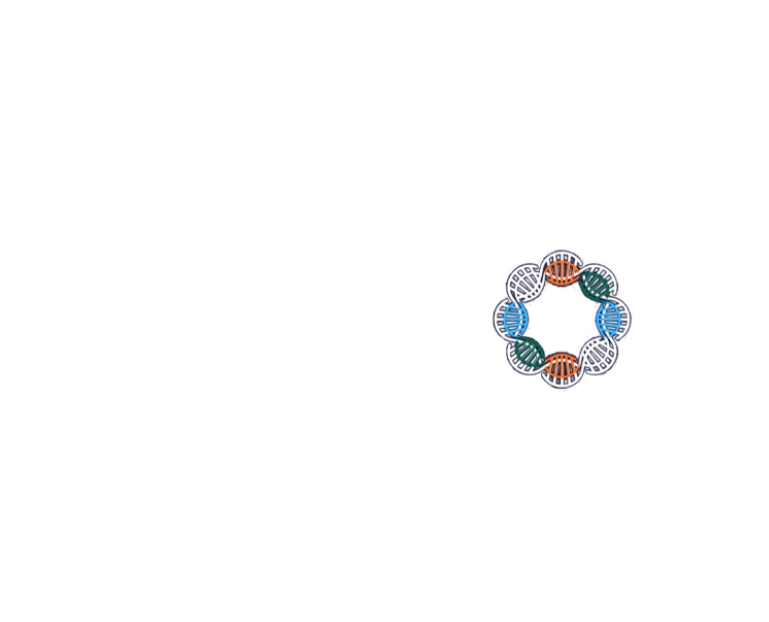 The Inclusion Lab